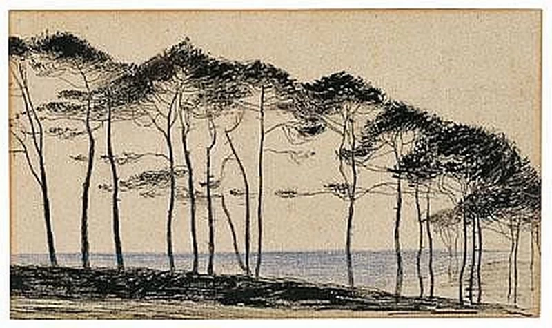 Pineta in riva al mare